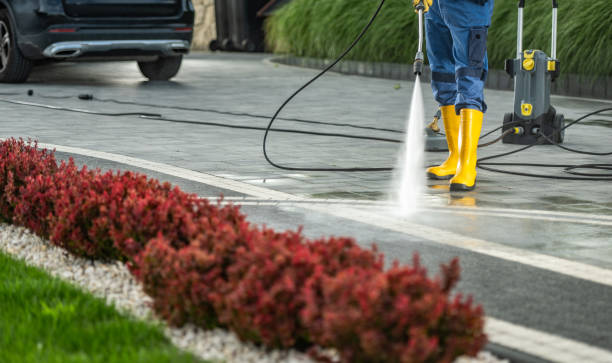 Best Parking Lot Cleaning in Eustace, TX